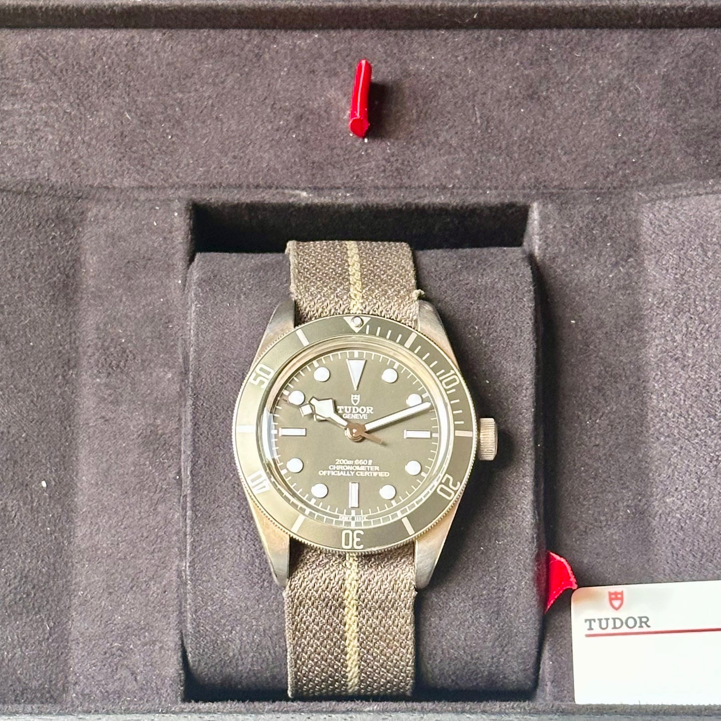 Black Bay 58 925 Silver Grey Ref 79010SG 2021