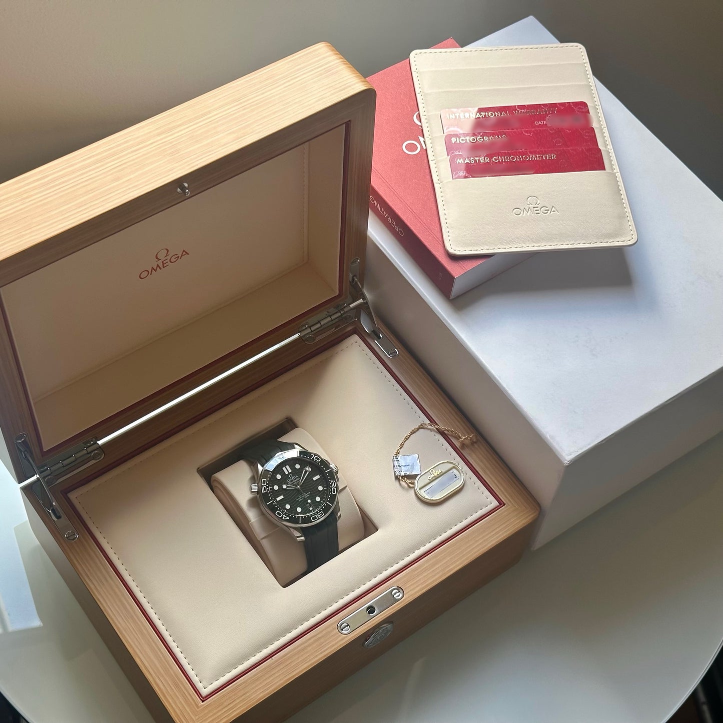 Seamaster 300 Green Ref
210.32.42.20.10.001 2024
