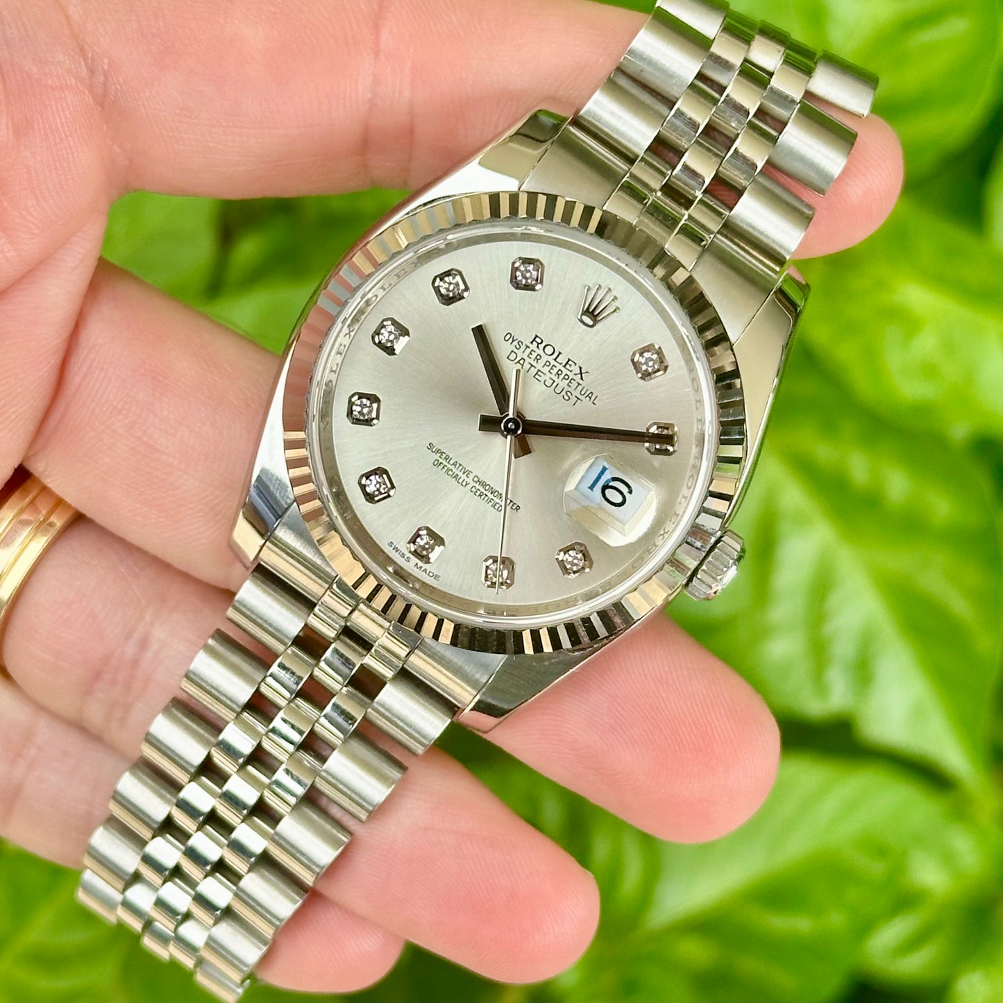 Datejust 36 Diamond Dial Ref 116234 2013