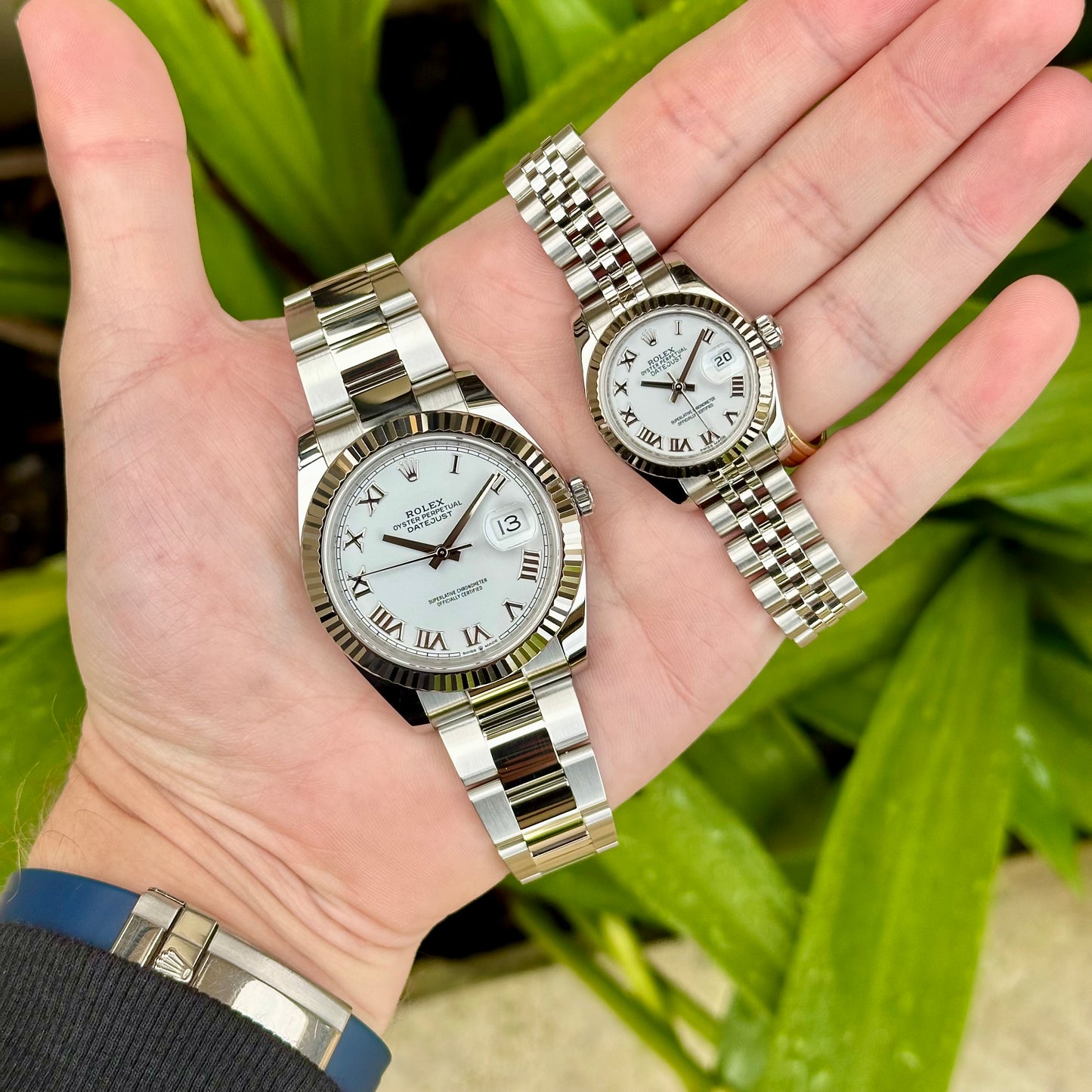 Datejust 41 White Romans Ref 126334 2019