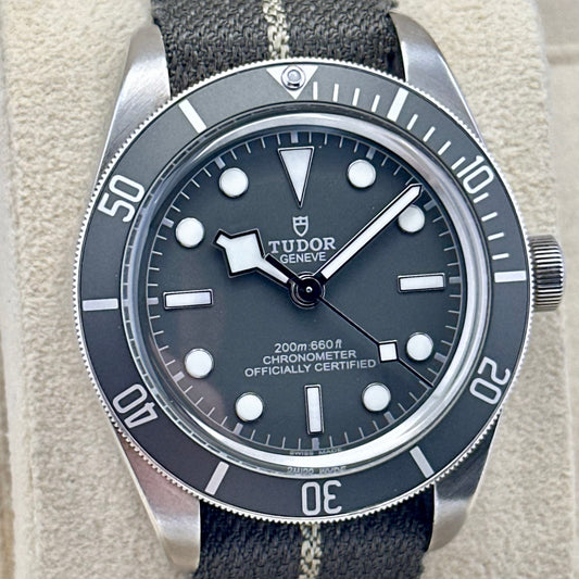 Black Bay 58 925 Silver Grey Ref 79010SG 2021